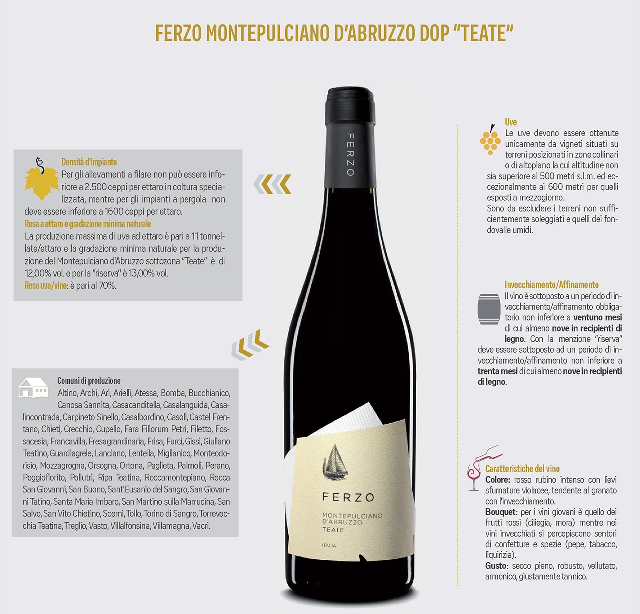 Ferzo Montepulciano Teate